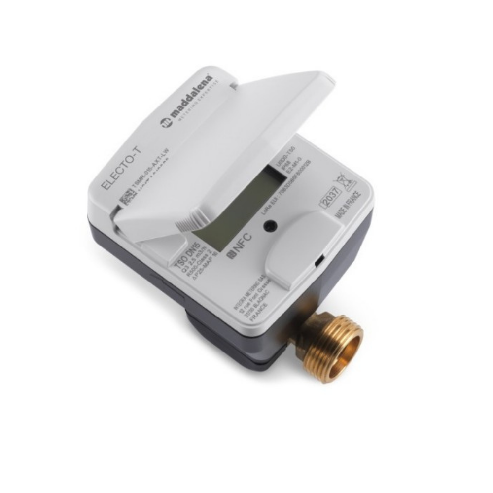 Maddalena ELECTO T (1)